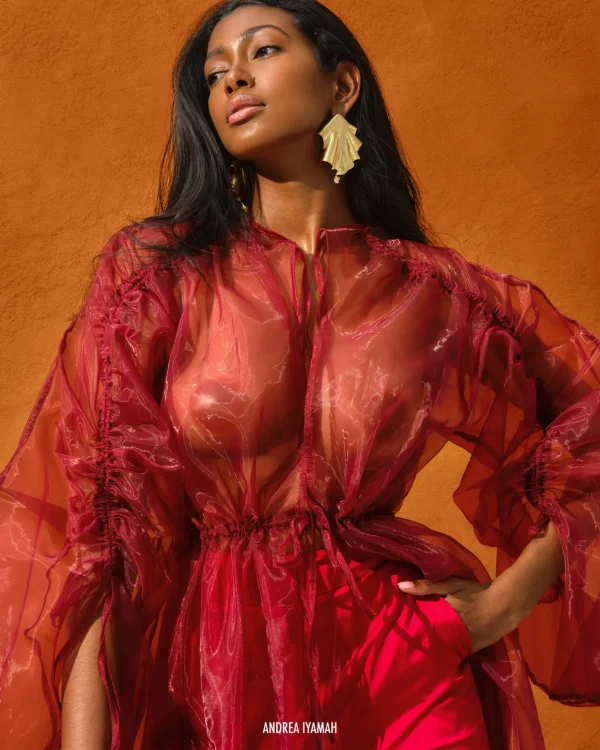 Fashion Andrea Iyamah Deko Robe-Wine