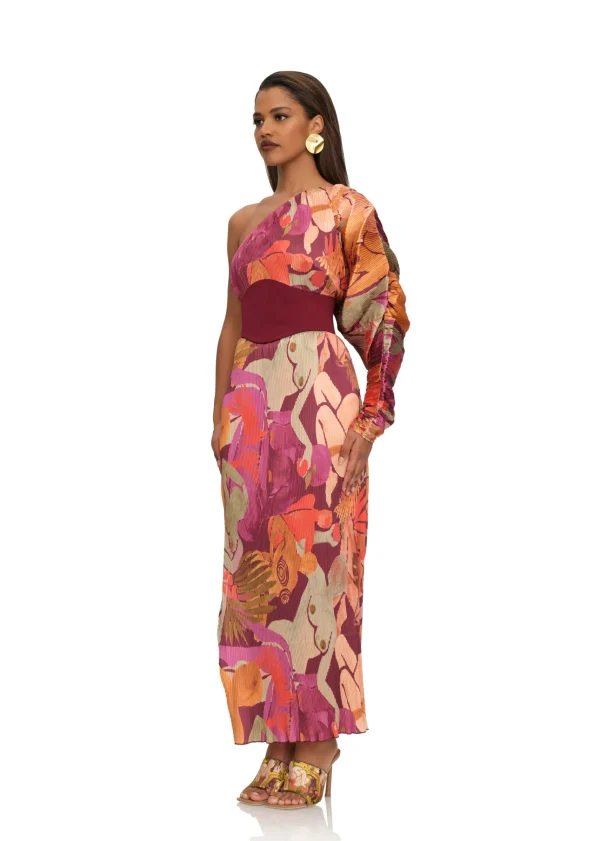 Store Andrea Iyamah Letti Dress